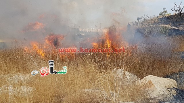 كفر قاسم -فيديو:اندلاع حريق في منتزة عبد الكريم قاسم وطواقم الاطفاء تسيطر على الحريق